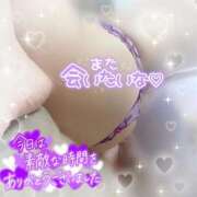ヒメ日記 2026/06/14 04:03 投稿 神宮寺 優奈 30代40代50代と遊ぶなら博多人妻専科24時