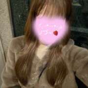 ヒメ日記 2024/12/21 20:01 投稿 まみ ビギナーズ東京