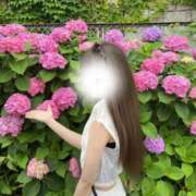 ヒメ日記 2025/06/08 10:36 投稿 まみ ビギナーズ東京