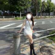 ヒメ日記 2025/06/11 11:45 投稿 まみ ビギナーズ東京