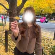 ヒメ日記 2025/11/19 12:57 投稿 まみ ビギナーズ東京