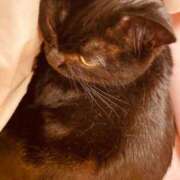 ヒメ日記 2025/06/12 20:56 投稿 なのは 人妻デリバリーパコパコママ一宮店