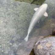 ヒメ日記 2025/07/17 12:34 投稿 なのは 人妻デリバリーパコパコママ一宮店