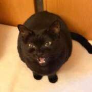 ヒメ日記 2025/11/07 13:21 投稿 なのは 人妻デリバリーパコパコママ一宮店