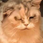 ヒメ日記 2025/11/09 12:32 投稿 なのは 人妻デリバリーパコパコママ一宮店