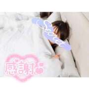 ヒメ日記 2025/07/30 08:03 投稿 りま DRAMA（ドラマ）