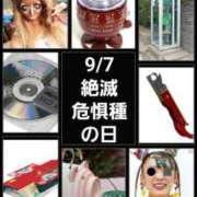 ヒメ日記 2025/09/07 08:44 投稿 長谷川ありさ 五十路マダムエクスプレス横浜店（カサブランカグループ）