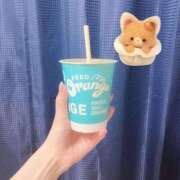 ヒメ日記 2025/06/15 18:39 投稿 ほむら デザインプリズム新宿