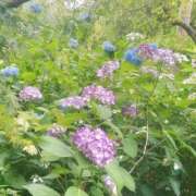 ヒメ日記 2025/06/28 19:23 投稿 ほむら デザインプリズム新宿