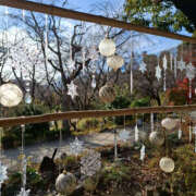 ヒメ日記 2025/01/04 08:28 投稿 いぶき 性腺熟女100％（デリヘル市場）