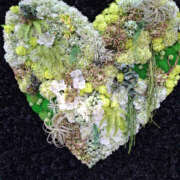 ヒメ日記 2025/04/08 10:43 投稿 いぶき 性腺熟女100％（デリヘル市場）