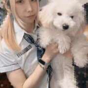 ヒメ日記 2026/01/09 11:06 投稿 淡雪ミント ニューハーフヘルスLIBE 日本橋