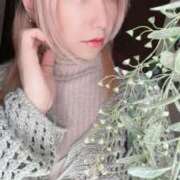 ヒメ日記 2026/03/31 17:59 投稿 淡雪ミント ニューハーフヘルスLIBE 日本橋