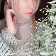 ヒメ日記 2026/04/08 14:09 投稿 淡雪ミント ニューハーフヘルスLIBE 日本橋