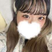 ヒメ日記 2025/10/30 09:14 投稿 蘭（らん） 男爵