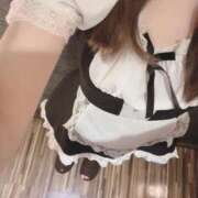 ヒメ日記 2025/12/04 10:26 投稿 蘭（らん） 男爵