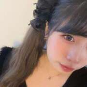 ヒメ日記 2025/12/23 17:03 投稿 蘭（らん） 男爵