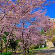 ヒメ日記 2025/05/09 08:13 投稿 ゆま アニバーサリー