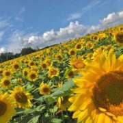 ヒメ日記 2025/05/12 08:03 投稿 ゆま アニバーサリー