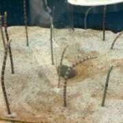 ヒメ日記 2025/05/13 08:19 投稿 ゆま アニバーサリー