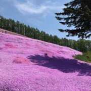 ヒメ日記 2025/05/14 08:13 投稿 ゆま アニバーサリー