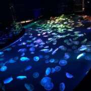 ヒメ日記 2025/05/16 08:03 投稿 ゆま アニバーサリー