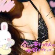 ヒメ日記 2024/12/23 10:21 投稿 なつめ 小山人妻隊