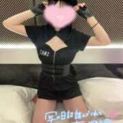 ヒメ日記 2025/02/15 00:01 投稿 ニコ エピソード(品川)