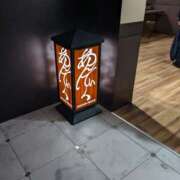 ヒメ日記 2025/03/23 13:13 投稿 かなみ若奥 未熟な若奥