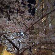 かなみ若奥 ★出勤★ 未熟な若奥