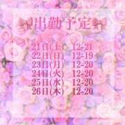 ヒメ日記 2024/12/20 08:23 投稿 みれい 手コキガールズコレクション