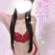 ヒメ日記 2026/10/04 15:23 投稿 みれい 手コキガールズコレクション