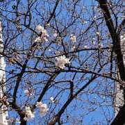 たきな 出勤しました 人妻ちゃんねる