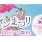 ヒメ日記 2024/04/08 12:35 投稿 ひろか 待ちナビ