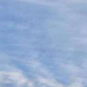 ヒメ日記 2024/12/11 08:50 投稿 ひろか 待ちナビ