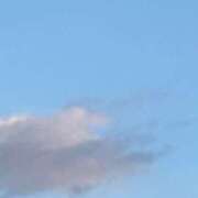 ヒメ日記 2024/12/17 07:51 投稿 ひろか 待ちナビ