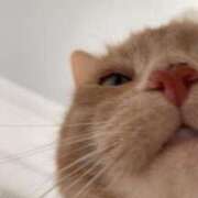 ヒメ日記 2024/12/17 18:14 投稿 ひろか 待ちナビ