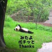 ヒメ日記 2024/12/27 22:14 投稿 ひろか 待ちナビ