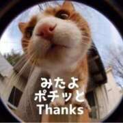 ヒメ日記 2025/01/01 15:58 投稿 ひろか 待ちナビ