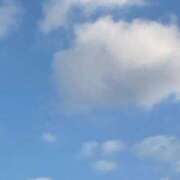 ヒメ日記 2025/01/02 08:35 投稿 ひろか 待ちナビ