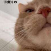 ヒメ日記 2025/01/07 18:25 投稿 ひろか 待ちナビ