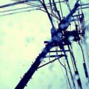 ヒメ日記 2025/03/15 10:11 投稿 ひろか 待ちナビ