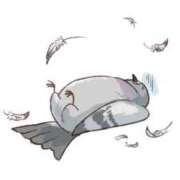 ヒメ日記 2025/04/10 07:15 投稿 ひろか 待ちナビ