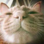 ヒメ日記 2025/04/24 11:35 投稿 ひろか 待ちナビ