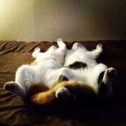 ヒメ日記 2025/04/30 00:15 投稿 ひろか 待ちナビ