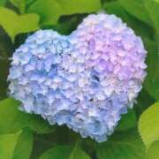 ヒメ日記 2025/06/21 09:21 投稿 ひろか 待ちナビ