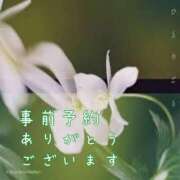 ヒメ日記 2025/07/07 22:45 投稿 ひろか 待ちナビ