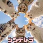 ヒメ日記 2025/09/20 16:08 投稿 ひろか 待ちナビ