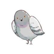 ヒメ日記 2025/10/08 07:25 投稿 ひろか 待ちナビ