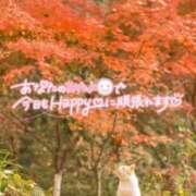 ヒメ日記 2025/11/03 18:18 投稿 ひろか 待ちナビ